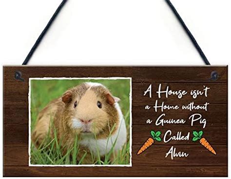 Red Ocean Beware Of The Guinea Pig Sign For Guinea Pig Lovers Pet Alert