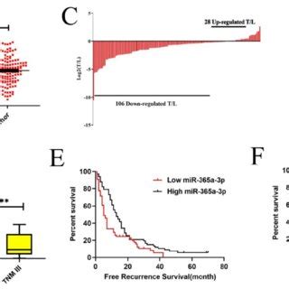 Corrected Figure 1B F B C Relative MiR 365a 3p Levels In 134 Pairs