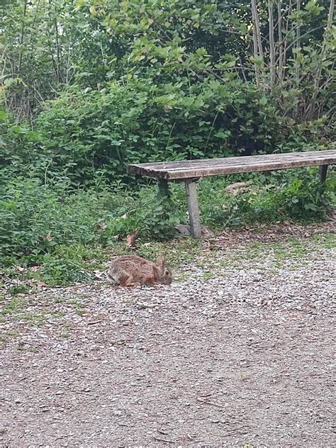 Torbiere Del Sebino Una Passeggiata Nella Riserva Naturale Sul Lago D