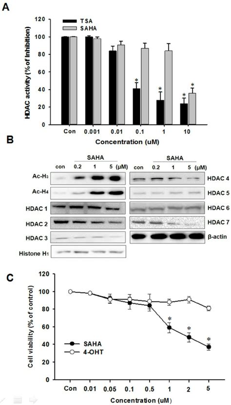 Effects Of SAHA On HDAC Activity And TAMR MCF 7 Cell Viability A