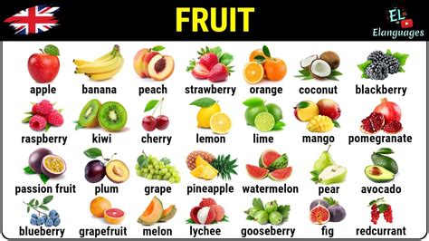 Fruits Name And Video At Kara Neal Blog