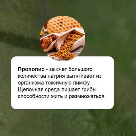 Купить Миценил в Москве — всегда лучшие цены в аптеке OrgSales