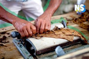 The History Of Puerto Ricos Golden Age Of Tobacco Nuestro Stories