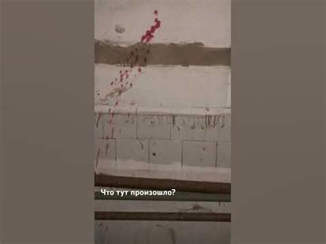 Снимаем новый ужастик - YouTube