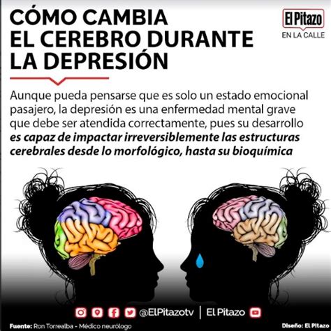 Neurólogo La depresión puede dejar daños irreversibles en el cerebro