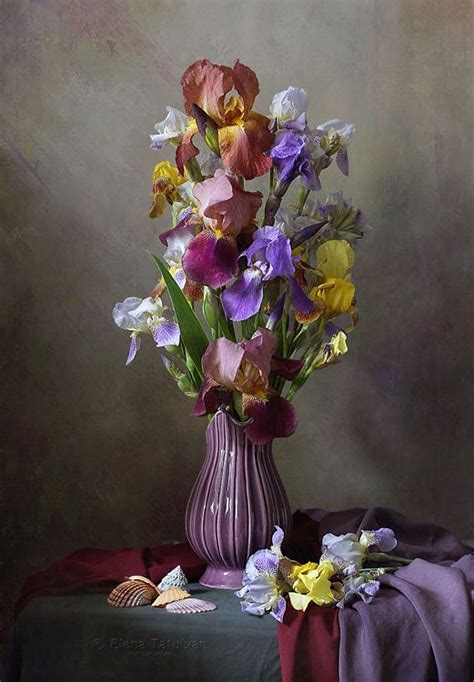 Касатики. Фотограф Елена Татульян | Flower canvas art, Plant painting ...