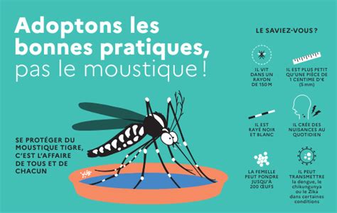 Les Bons Gestes Adopter Face La Prolif Ration Du Moustique Tigre