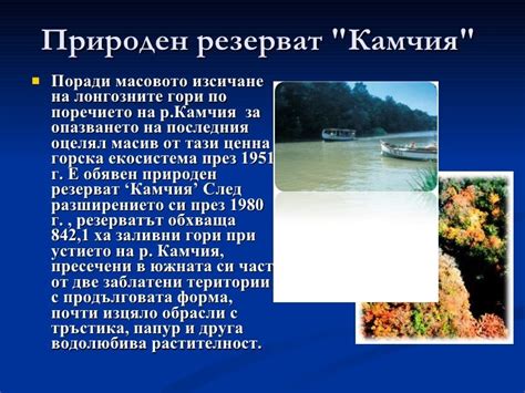 Черноморска природногеографска област