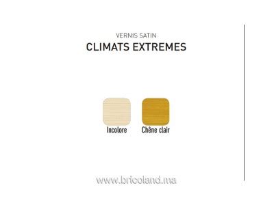 Vernis extérieur Climats Extrêmes satin V33 Bricoland