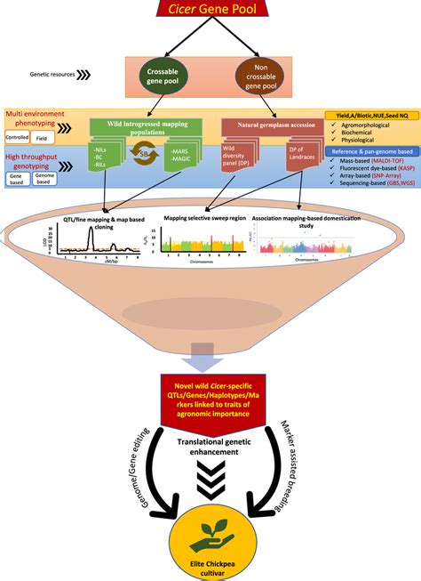 An Integrated Genomics Approach For Genetic Enhancement Of Chickpea