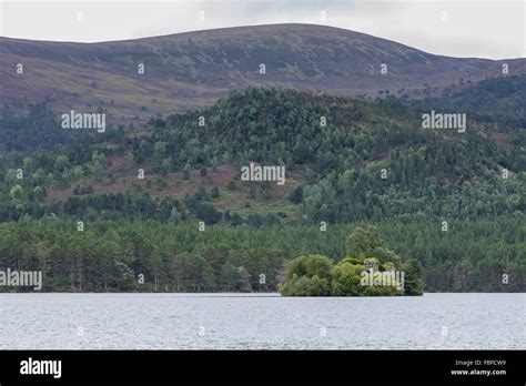 Castle In The Middle Of Loch An Eilein Near Aviemore Scotland Stock