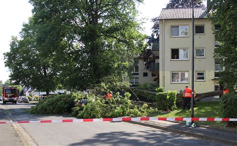 Vor dem Unwetter Umgekippter Ahorn Baum beschädigt Auto