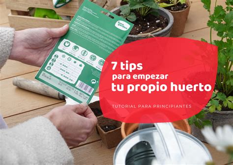 ¿cómo Empezar Tu Propio Huerto 7 Tips Para Iniciarte En El Mundo Huerter Eurogarden