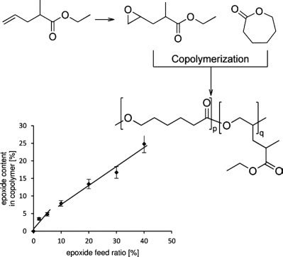 Synthesis And Characterization Of Functionalized Poly Caprolactone