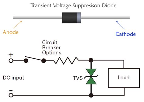 How Does A Diode Work In Circuit Wiring Diagram