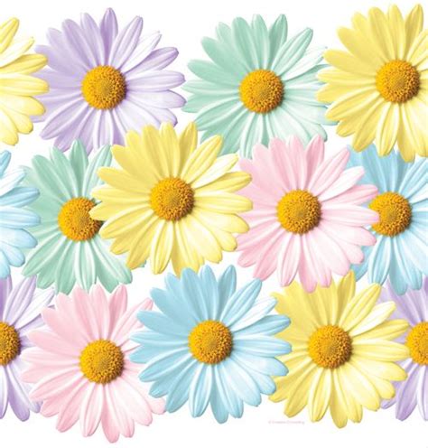 Pastel Daisy Decorations Flower Background Wallpaper Pastel Aesthetic Pastel Palette