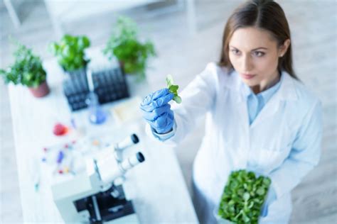 Biotecnología impacto en sector alimentos Manos Verdes