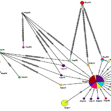 Appearance Of Mt Co Bp Haplotypes Of Ligula Intestinalis