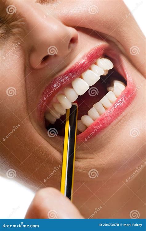 Pencil Stress Stock Photo Image Of Health Snarling 20473470