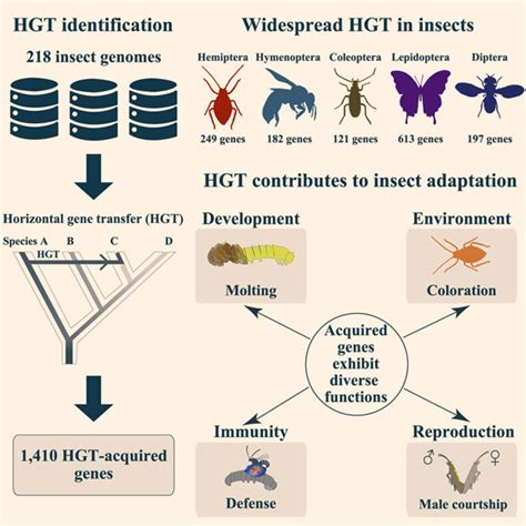 Insects Carry Horizontally Transferred Microbial Genes Study