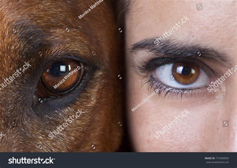 2,022 Brown Eyes Male Macro Human Images, Stock Photos & Vectors ...