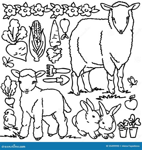 Livre De Coloriage Animaux De Ferme De Bande Dessin E Illustration