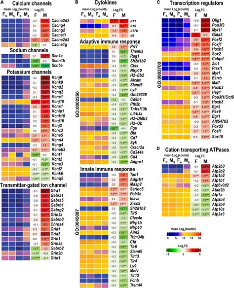 Frontiers Sexually Dimorphic Transcriptional Programs Of Early Phase