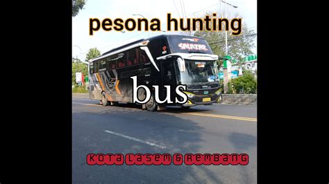 Pesona Hunting Bus Di Jam 02 Sore Hunting Bus Sore Lasem Rembang