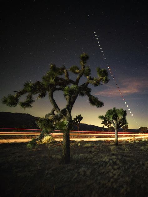 Joshua Tree Lunar Eclipse Fine Art Photography Print Modern Art