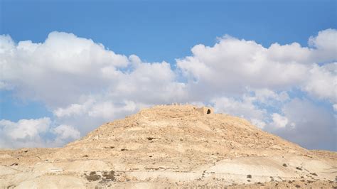 The Holy Land — David Murphey