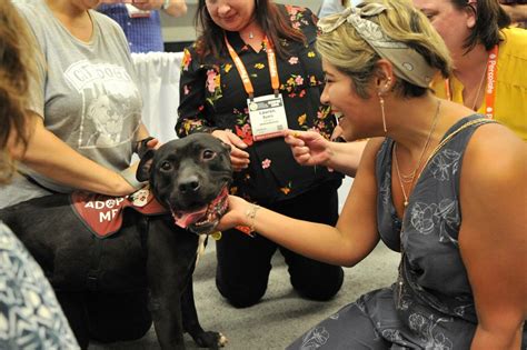 Paws And Relax Yappy Hour At Mads