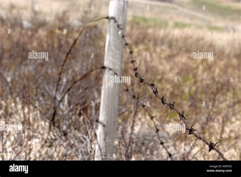 Broken Down Barb Wire Fence Stock Photo Alamy