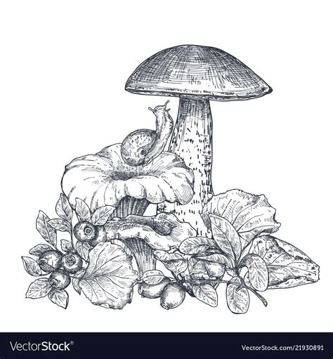 Vector Composition Of Hand Drawn Forest Mushrooms With Fall Leaves Snail Cranberry Blueberry