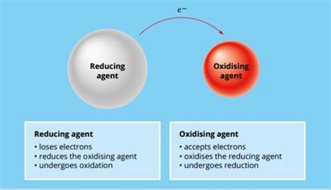 Chapter 16 Redox Reactions Flashcards Quizlet