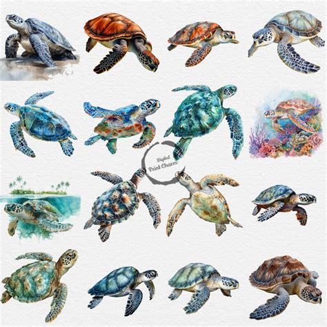 Watercolor Sea Turtles Clipart Realistic Ocean Creatures Digital