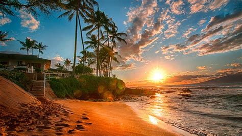 Aesthetic Hawaii Wallpapers Top Free Aesthetic Hawaii Backgrounds