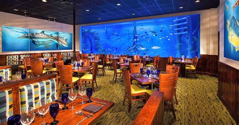 Dine Amongst The Fishes With Your Loved Ones At Floridas Exceptional