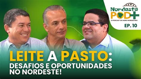 Leite A Pasto Desafios E Oportunidades No Nordeste Nordeste Pod Ep