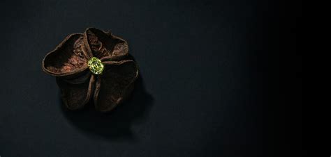 Niche Gemstones – Jochen Leën