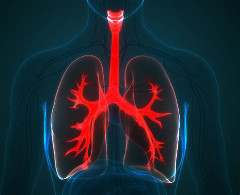 nepal  worlds highest lung disease death rate  foreign