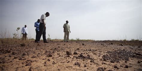 Cos è la desertificazione cause ed effetti di un emergenza ambientale