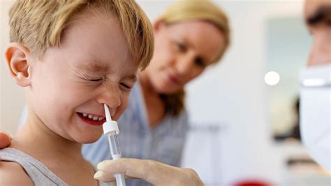 Vacuna intranasal contra la gripe en niños cómo funciona