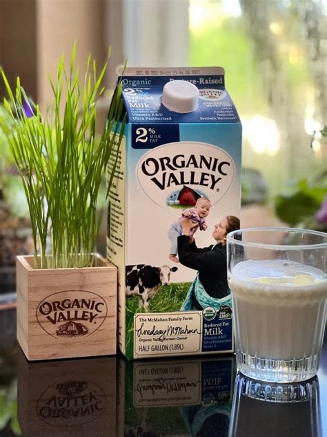 Why I Choose Organic Milk Products For My Family’s Vibrant Living ...