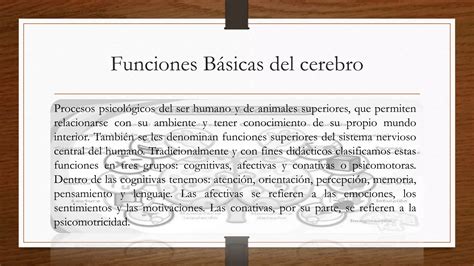 Funciones Básicas del Cerebro pptx