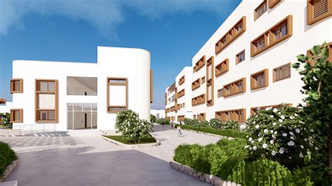 elementary school  behance