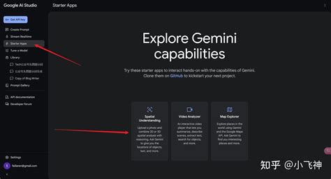 解锁 Gemini 2.0 的奥秘：功能与使用指南 - 知乎