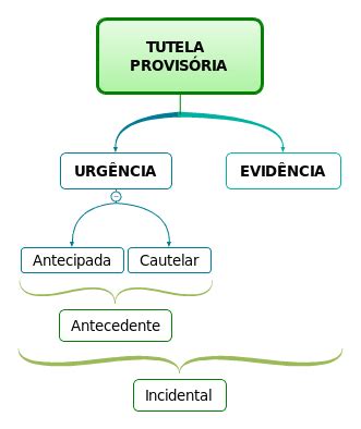 Estude E Revise Direito Tutelas Provis Rias Aspectos Gerais