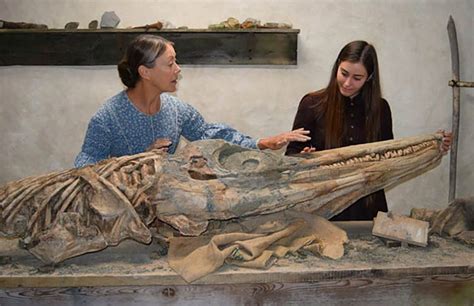 Mary Anning And Her Legacy In Paleontology