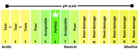 Cannabis Ph Nutrient Chart