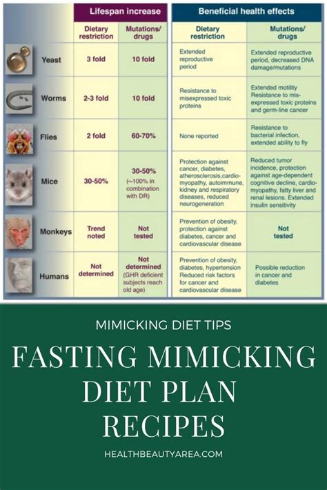 Fasting Mimicking Diet Menu Plan